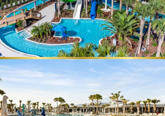 Imagem do post Invista na Flórida com Suporte Profissional